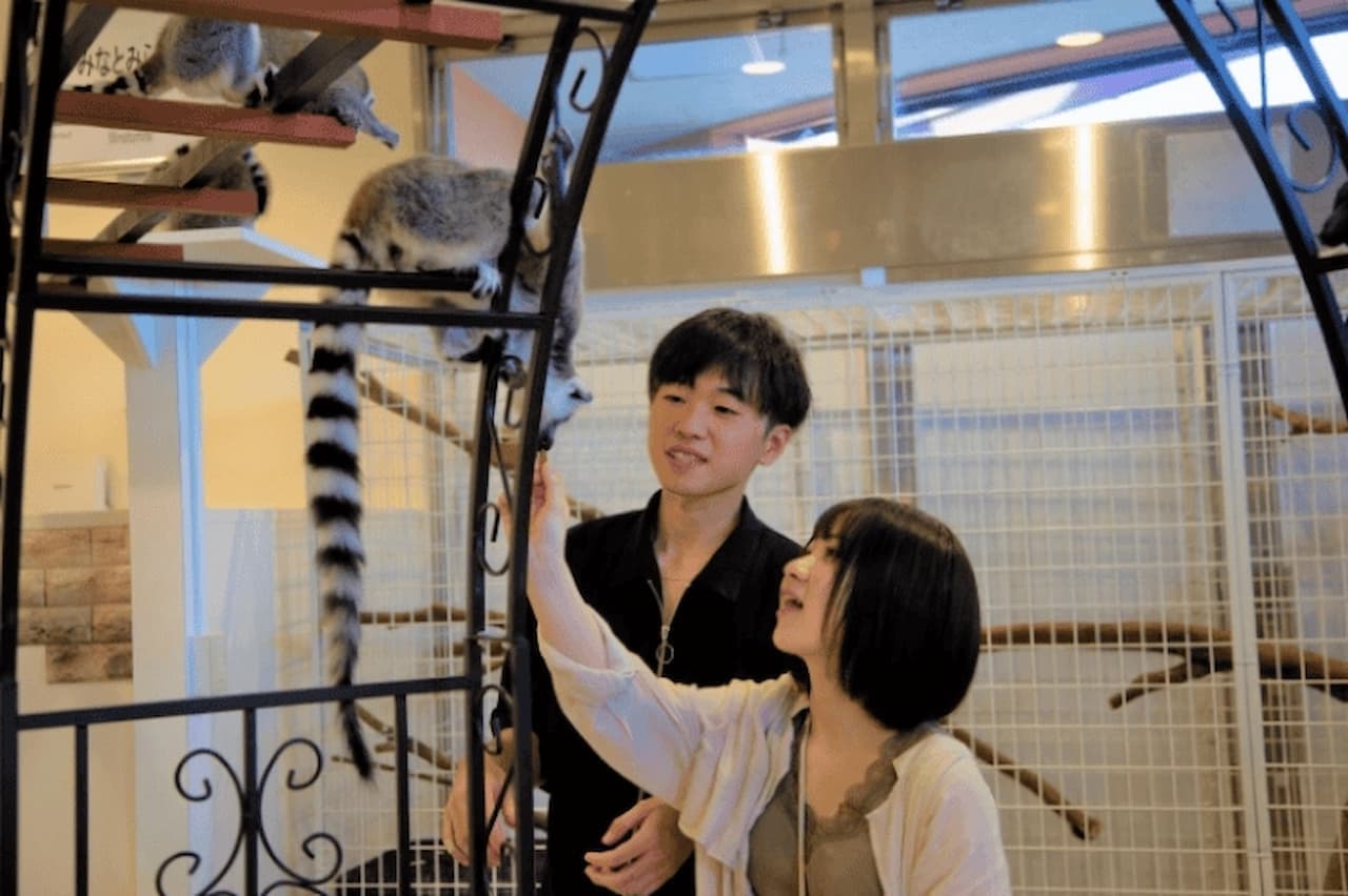 Anitouch Minatomirai Ticket - image 2