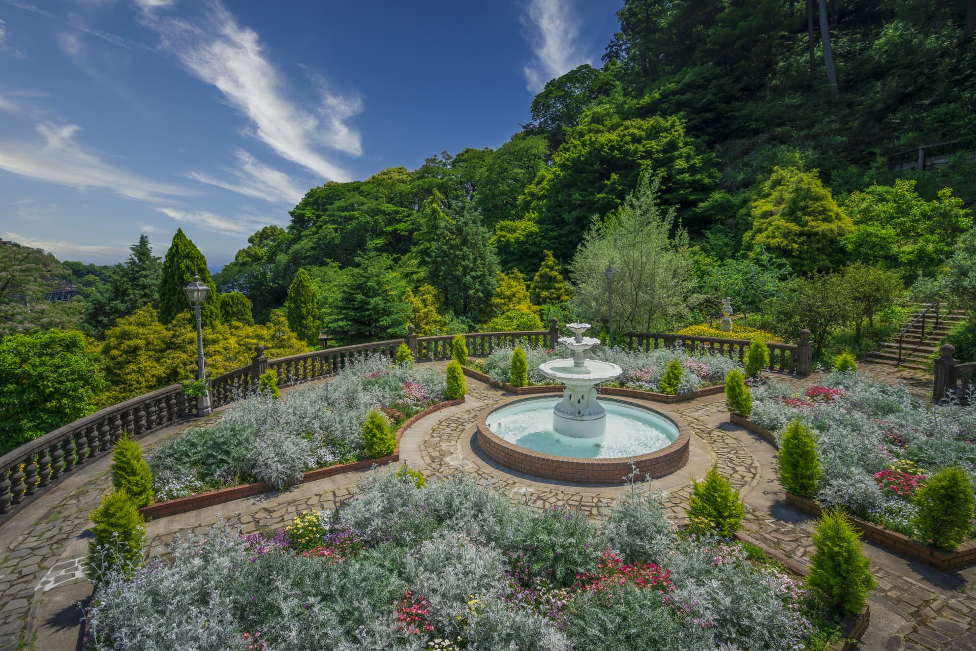 Acao Forest in Shizuoka - main image